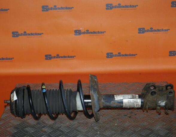 Suspension Strut FIAT Grande Punto (199), FIAT Punto (199), FIAT Punto Evo (199)