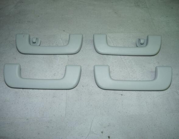 Grab Handle AUDI E-TRON (GEN)