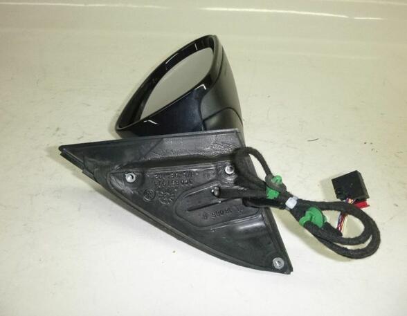 Wing (Door) Mirror VW Passat (3C2)