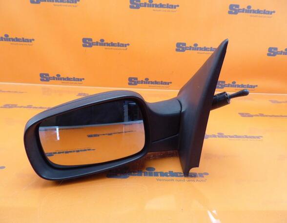 Wing (Door) Mirror RENAULT Clio III (BR0/1, CR0/1), RENAULT Clio IV (BH)