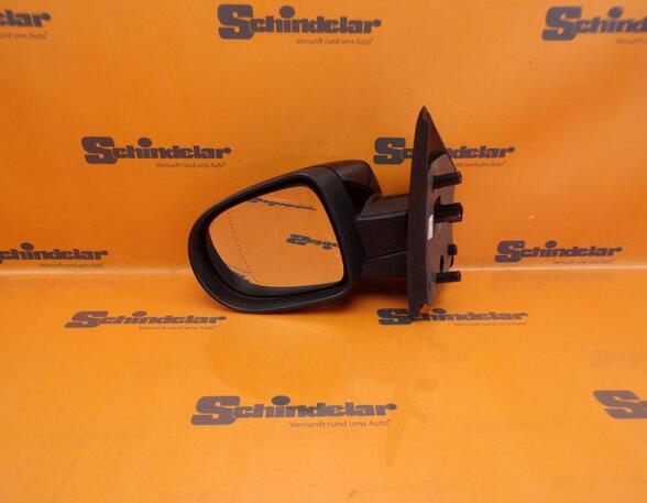 Wing (Door) Mirror RENAULT Twingo II (CN0)