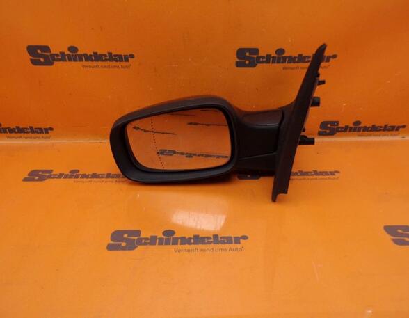 Wing (Door) Mirror RENAULT Clio III (BR0/1, CR0/1)