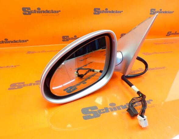 Wing (Door) Mirror MERCEDES-BENZ S-CLASS (W221)