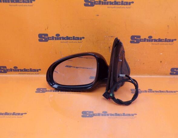 Wing (Door) Mirror VW GOLF V (1K1)