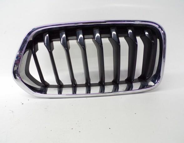 Radiator Grille Frame BMW X2 (F39)