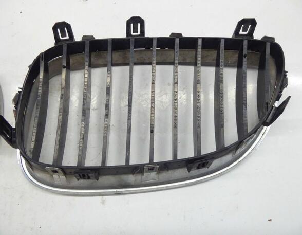 Radiator Grille BMW 5er Touring (E61)