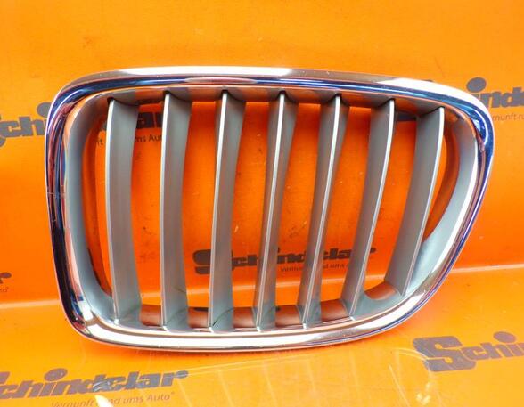 Radiateurgrille BMW X1 (E84)