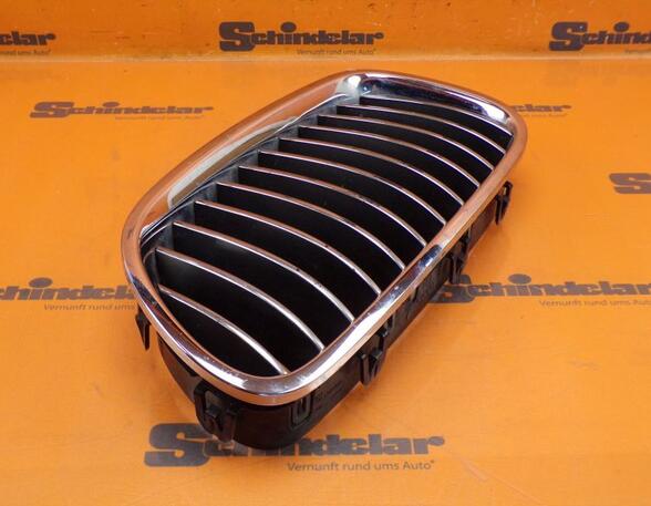 Radiateurgrille BMW 5er Touring (F11)