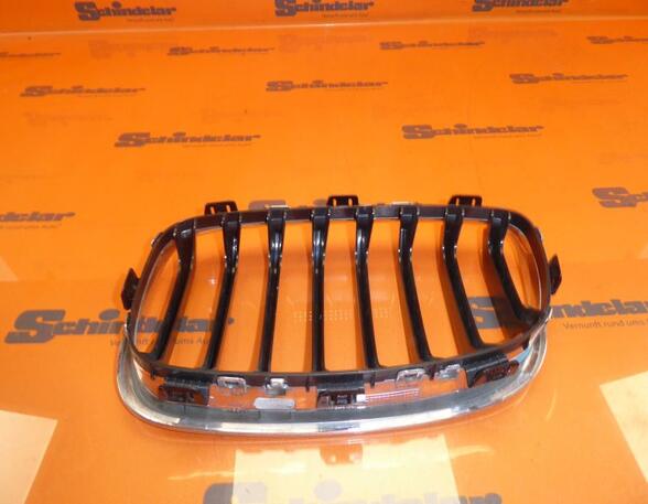 Radiator Grille BMW 1 (F20)