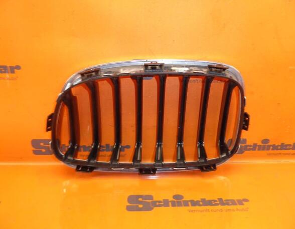 Radiator Grille BMW 1 (F20)