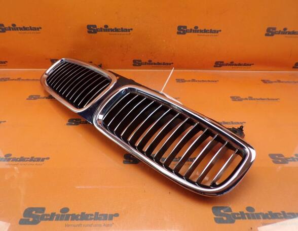 Radiateurgrille BMW 7 (E65, E66, E67)