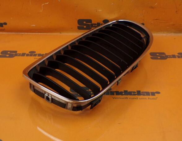 Radiator Grille BMW 3 Touring (E91)