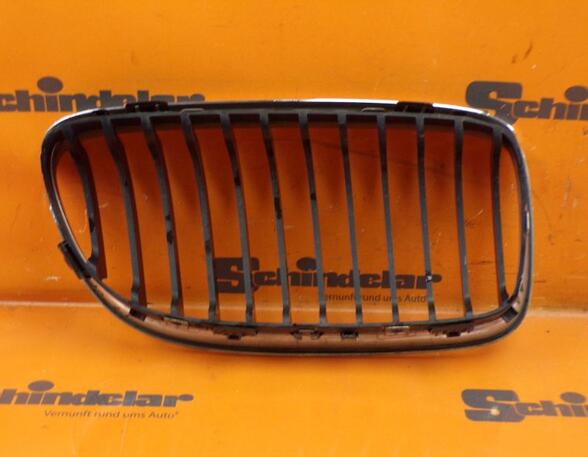 Radiator Grille BMW 3 Touring (E91)