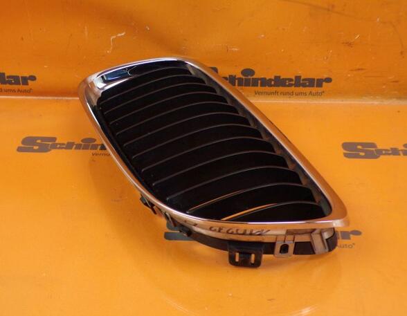 Radiator Grille BMW 3 Touring (E91)