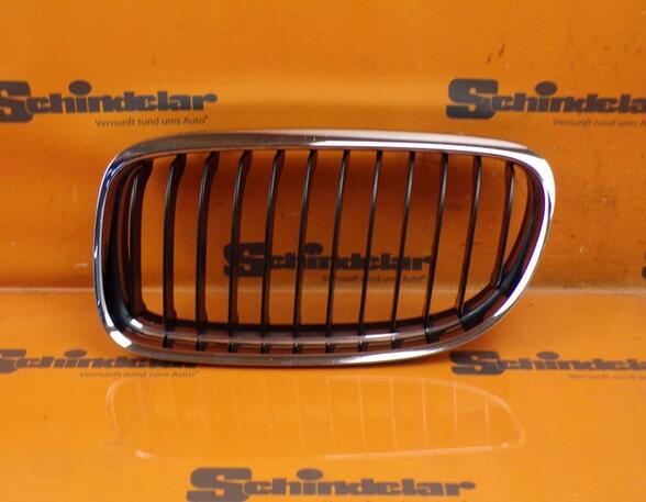 Radiator Grille BMW 3 Touring (E91)