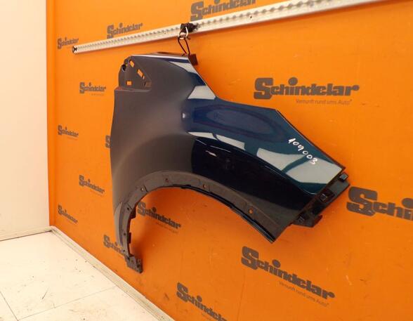 Spatbord RENAULT Captur I (H5, J5), RENAULT Clio IV (BH)