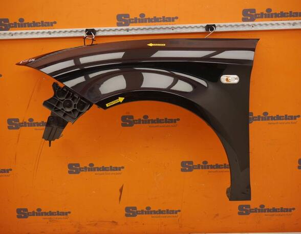 Spatbord SEAT ALTEA (5P1), SEAT ALTEA XL (5P5, 5P8), SEAT TOLEDO III (5P2)