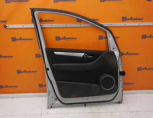 Door MERCEDES-BENZ B-CLASS (W245)