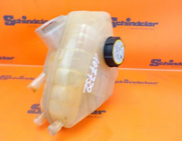 Coolant Expansion Tank FORD Fiesta VI (CB1, CCN)