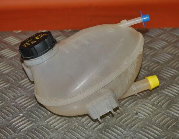 Coolant Expansion Tank FORD Ecosport (--)