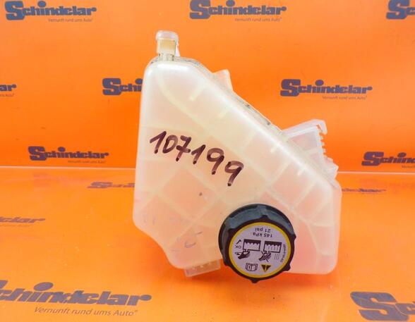 Coolant Expansion Tank FORD FIESTA VI (CB1, CCN)