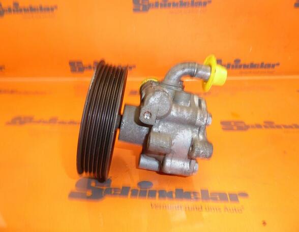 Power steering pump VW New Beetle Cabriolet (1Y7)