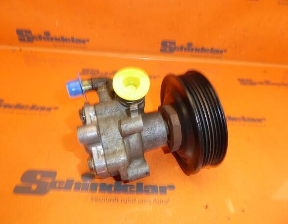 Power steering pump VW Golf IV (1J1)