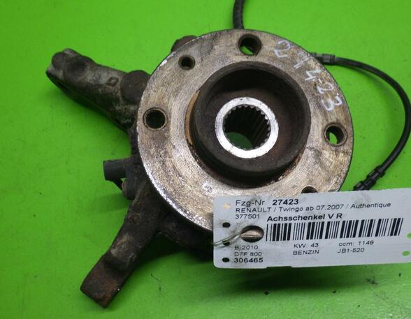 Stub Axle RENAULT Twingo II (CN0)