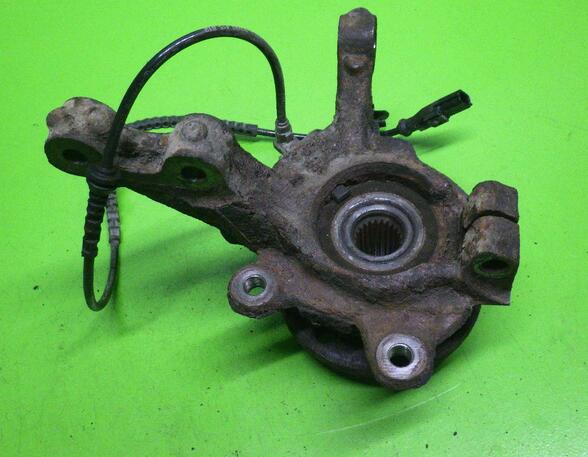 Stub Axle RENAULT Twingo II (CN0)