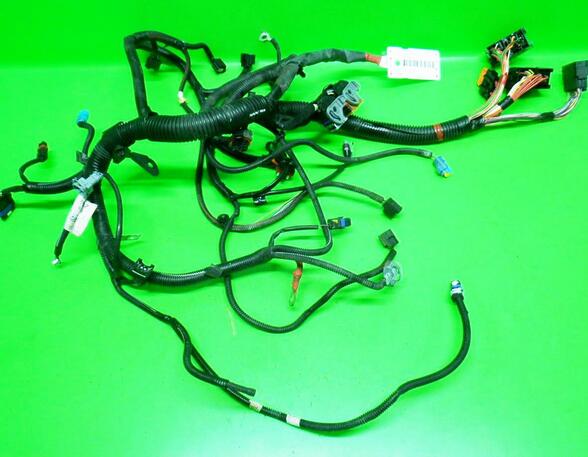 Wiring Harness DACIA Sandero (--), DACIA Sandero II (--)