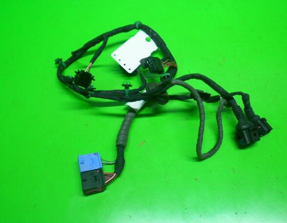 Wiring Harness VW Phaeton (3D1, 3D2, 3D3, 3D4, 3D6, 3D7, 3D8, 3D9)