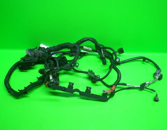 Wiring Harness FORD Fiesta VI (CB1, CCN)