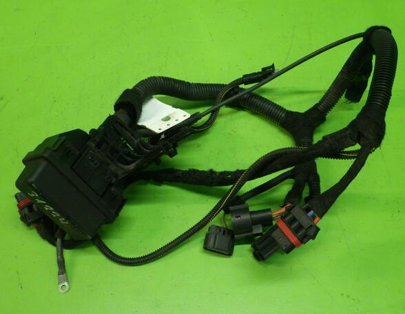 Wiring Harness OPEL INSIGNIA A (G09), OPEL INSIGNIA A Sports Tourer (G09), OPEL AGILA (A) (H00)