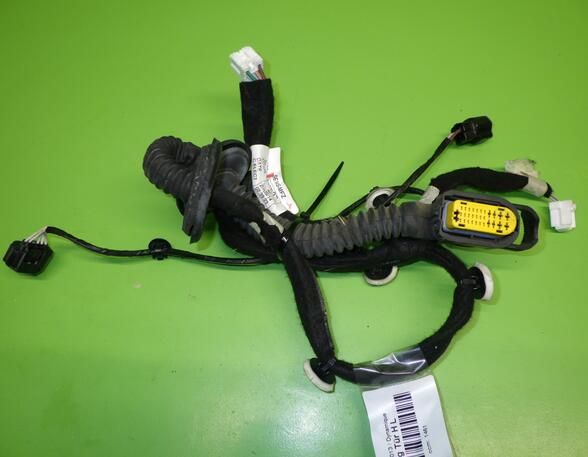 Wiring Harness RENAULT CAPTUR I (J5_, H5_), RENAULT CLIO IV (BH_)