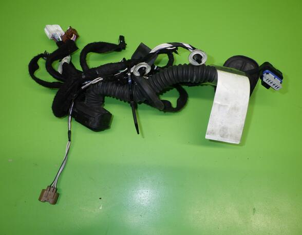 Wiring Harness RENAULT CAPTUR I (J5_, H5_), RENAULT CLIO IV (BH_)