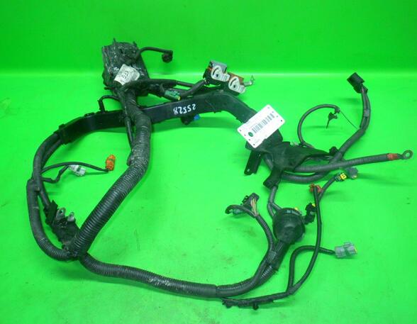 Wiring Harness FORD FIESTA VI (CB1, CCN)