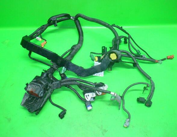 Wiring Harness FORD FIESTA VI (CB1, CCN)