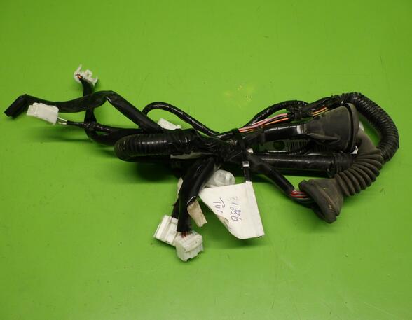 Wiring Harness DAIHATSU TERIOS (J2_)