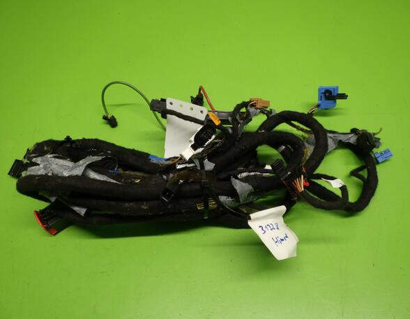 Wiring Harness OPEL CROSSLAND X / CROSSLAND (P17, P2QO)