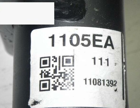 Suspension Strut VW Crafter 30-35 Bus (2E), VW Transporter V Bus (7EB, 7EC, 7EF, 7EG, 7EJ, 7HB, 7HF, 7HJ)