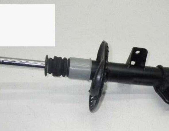 Suspension Strut VW Crafter 30-35 Bus (2E), VW Transporter V Bus (7EB, 7EC, 7EF, 7EG, 7EJ, 7HB, 7HF, 7HJ)