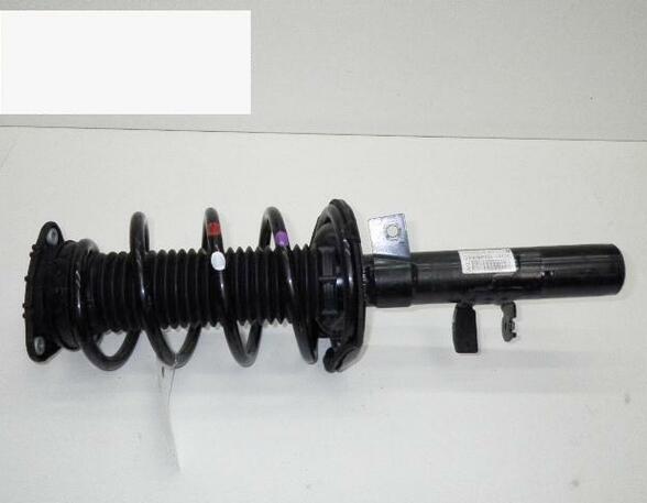 Suspension Strut FORD C-Max II (DXA/CB7, DXA/CEU)