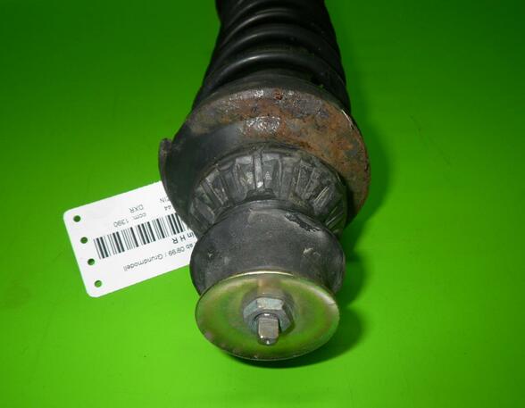 Suspension Strut SEAT Ibiza II (6K1)