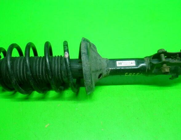 Suspension Strut VW Passat Variant (35I, 3A5)