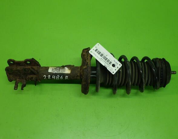 Suspension Strut FIAT Grande Punto (199)