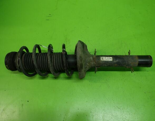 Suspension Strut VW GOLF IV (1J1)