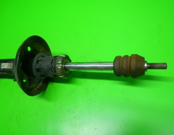 Shock Absorber AUDI A3 (8L1)