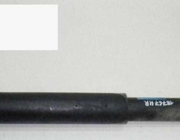 Shock Absorber RENAULT Megane I (BA0/1)