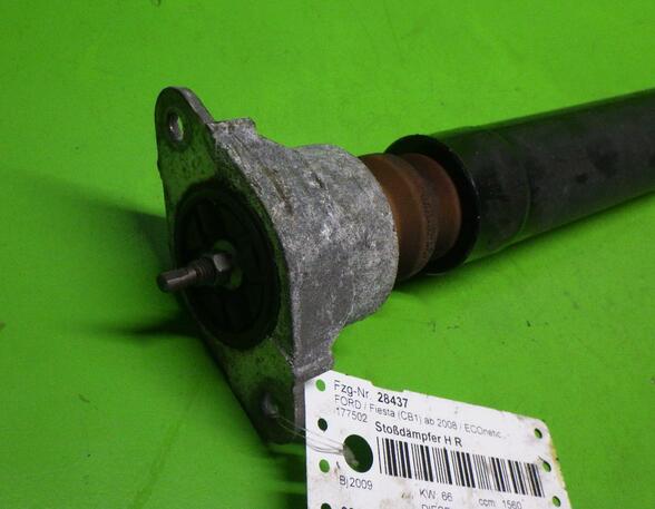 Shock Absorber FORD Fiesta VI (CB1, CCN)