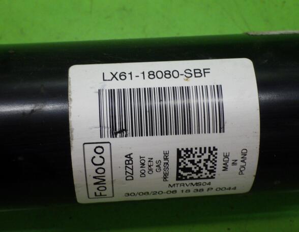 Shock Absorber FORD Kuga III (DFK)